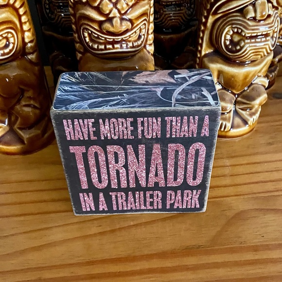 Have More Fun than a Tornado in a Trailer Park - Pink Glitter - Picture 6 of 11